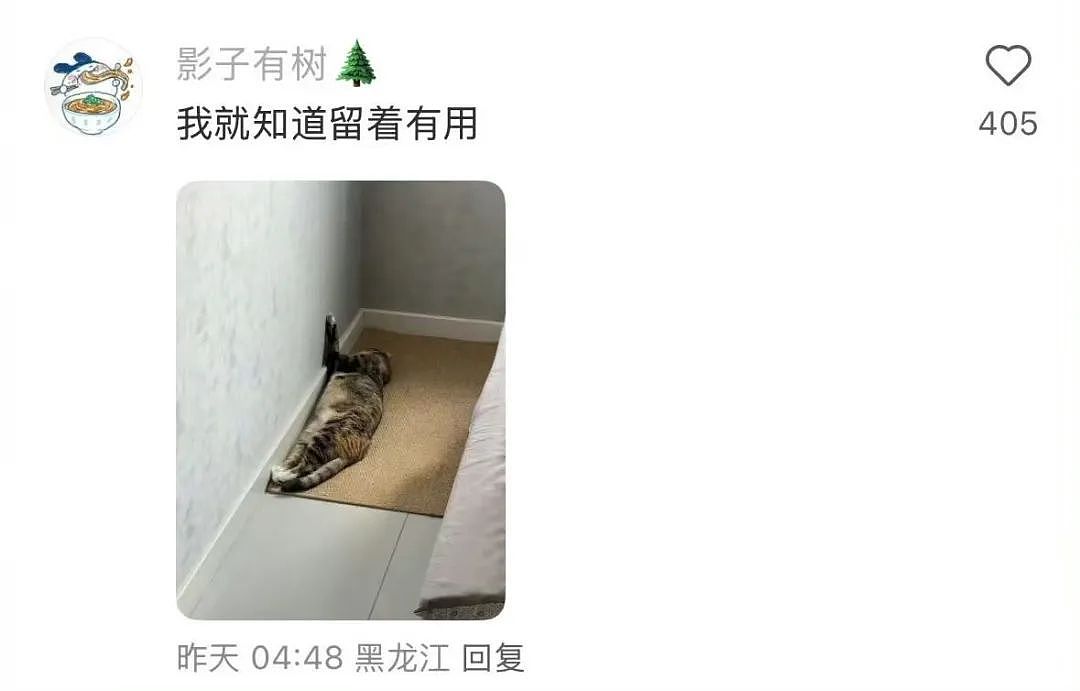 【爆笑】“错季网购了一件千元皮草后......“ 哈哈哈哈哈哈被网友笑晕过去了（组图） - 35