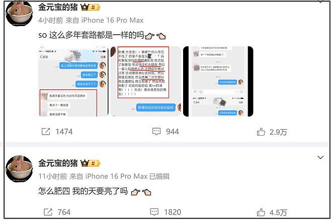 大金晒出对话录屏！许凯承认动手家暴，女方喊话他：你天黑了吗（组图） - 6