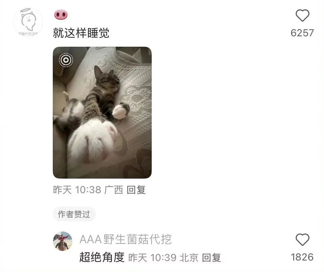 【爆笑】“错季网购了一件千元皮草后......“ 哈哈哈哈哈哈被网友笑晕过去了（组图） - 33