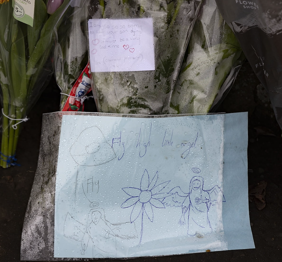 11岁在英中国男孩被垃圾车撞死,凶手却逃脱牢狱之灾!英国网友怒了(组图) - 4