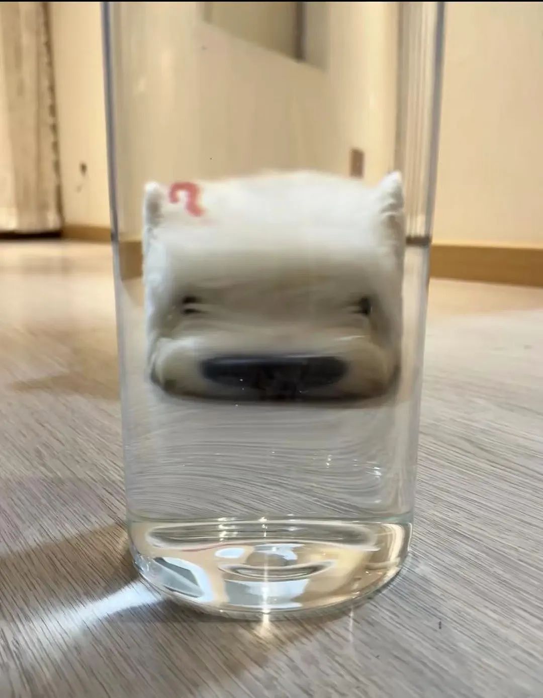 【爆笑】“上班摸鱼不要随便复制群里的八卦！” 哈哈哈哈哈笑得我发癫（组图） - 51