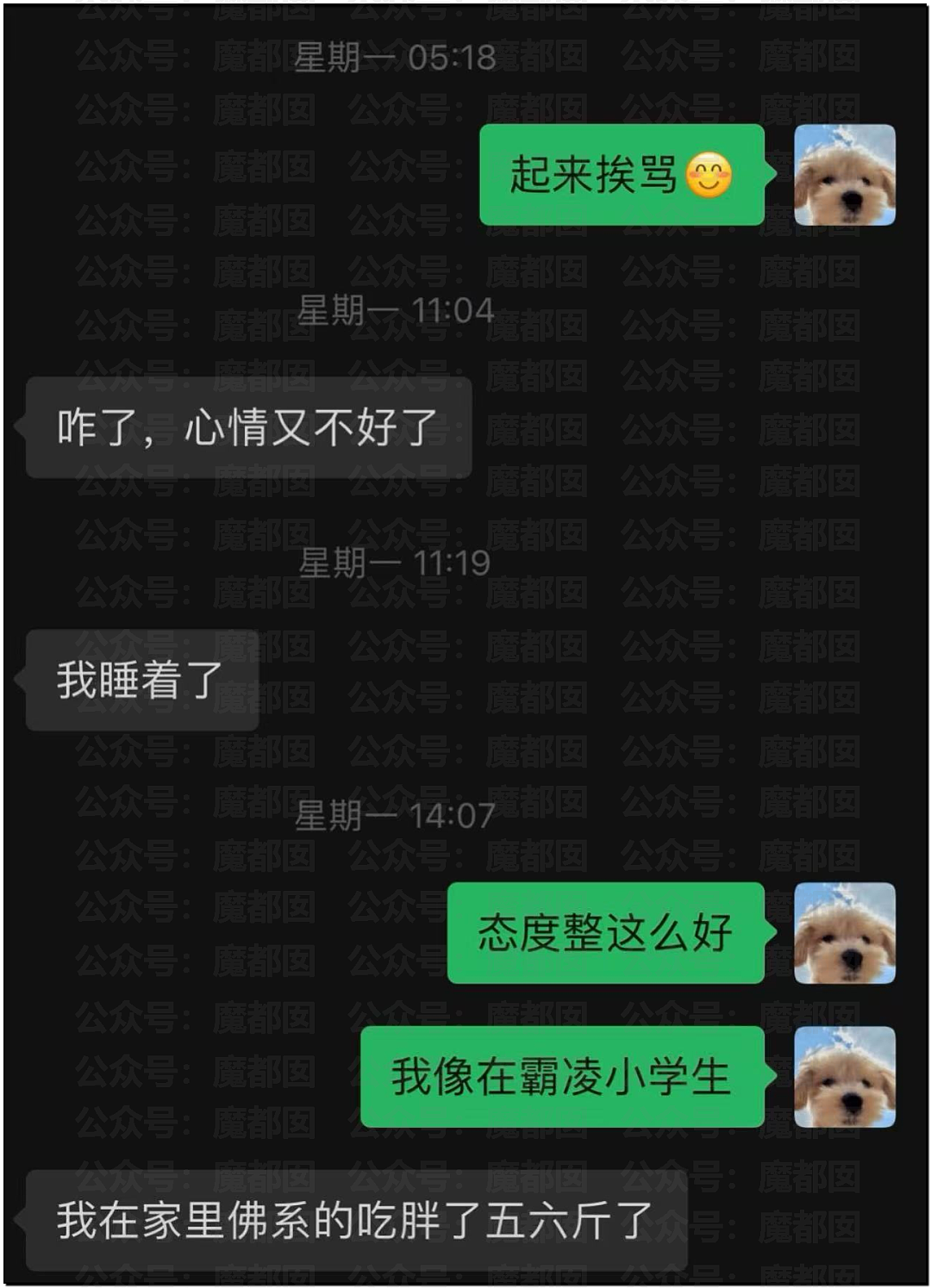 热搜第一!中国顶流男星被曝出轨,和新人开房,私密视频流出(视频/组图) - 83