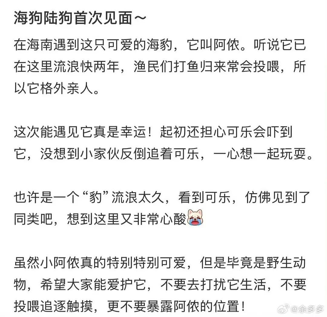 【爆笑】“错季网购了一件千元皮草后......“ 哈哈哈哈哈哈被网友笑晕过去了（组图） - 50