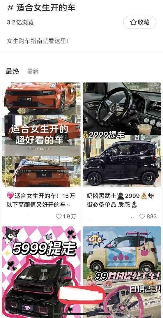 县城贵妇快乐源泉:老头乐(组图) - 2