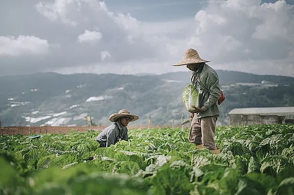 10秒感染，48小时极危险！男子高烧42℃险丧命，警惕“水中幽灵“靠近，人人可能中招（组图） - 7
