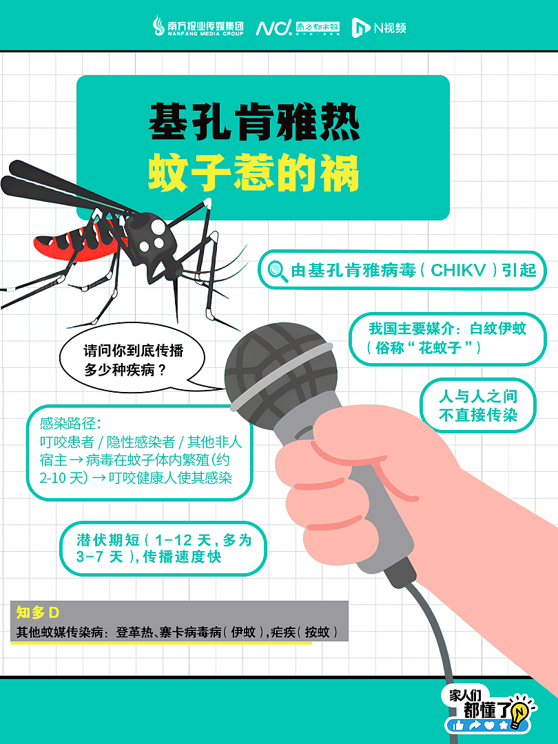广东新增336例基孔肯雅热，涉15地市！最新通报（组图） - 2