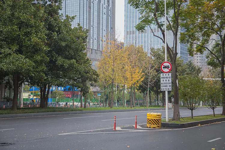 为什么全世界只有中国有独特的道路中央绿化带？（组图） - 5