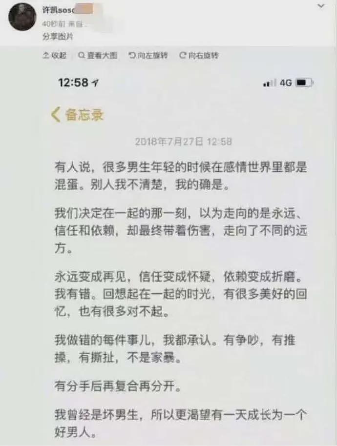 出轨约炮酒后乱性？2025年娱乐圈第一大瓜，男顶流许凯被前嫂子爆锤（组图） - 24
