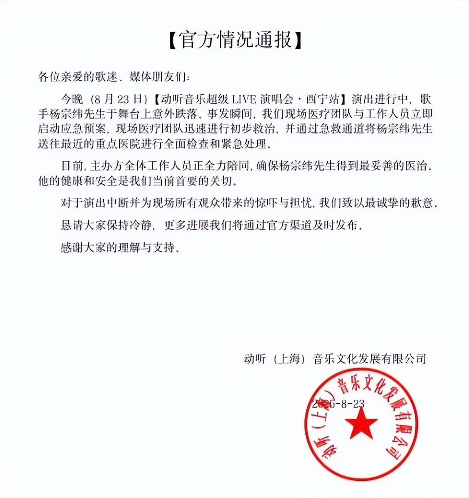 杨宗纬意外摔下2米舞台疑短暂昏迷，本人报平安：离精神小伙就一步之遥（组图） - 7