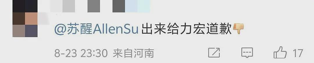 道歉！歌手苏醒玩梗《花田错》被批低俗，疑内涵王力宏早年私生活（组图） - 8