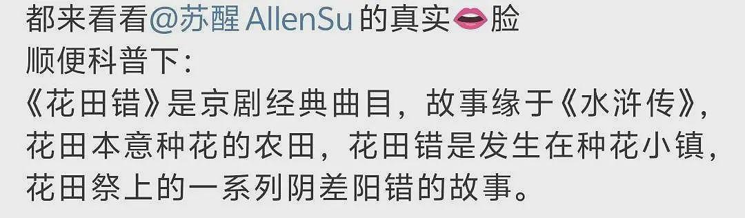 道歉！歌手苏醒玩梗《花田错》被批低俗，疑内涵王力宏早年私生活（组图） - 10