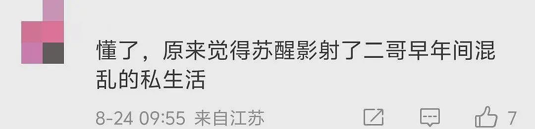 道歉！歌手苏醒玩梗《花田错》被批低俗，疑内涵王力宏早年私生活（组图） - 7