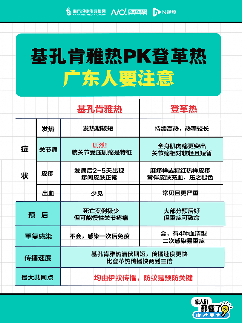 广东新增336例基孔肯雅热，涉15地市！最新通报（组图） - 5