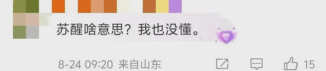 道歉！歌手苏醒玩梗《花田错》被批低俗，疑内涵王力宏早年私生活（组图） - 3