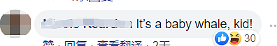 警局：求求了，别再打911了！它真的不是鲨鱼（组图） - 5