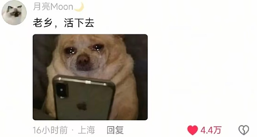 【爆笑】男朋友突然换头像，头像风格也换了，他是不是出轨了？​​​（组图） - 45