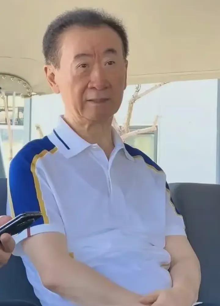 71岁王健林太拼！顶烈日新疆考察，面相大变，王思聪却在国外度假（组图） - 1
