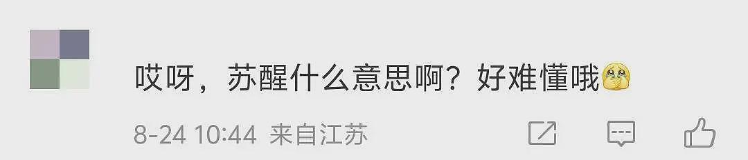道歉！歌手苏醒玩梗《花田错》被批低俗，疑内涵王力宏早年私生活（组图） - 4