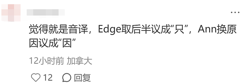 中国留学生们给海外地名加的翻译,看懵了(组图) - 20