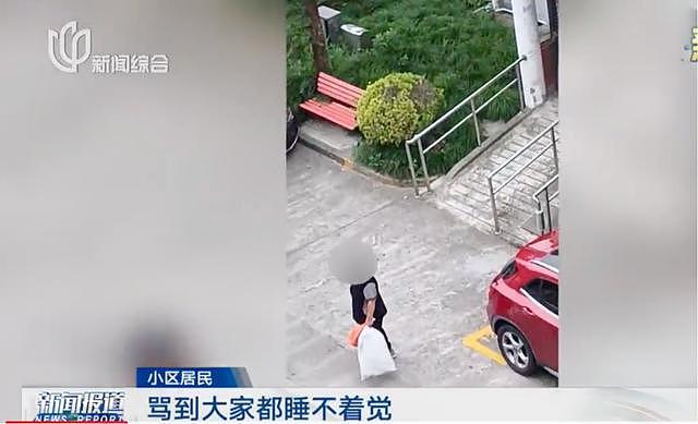 儿子车祸过世后，上海阿姨精神异常！每天在小区里骂人，丈夫竟拒绝送医诊断（组图） - 2