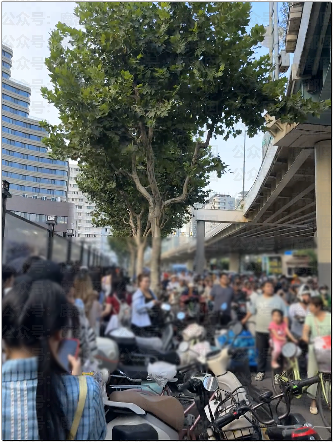 上海开过那么多演唱会，能让老百姓集体怨声载道还是头一次！（组图） - 75