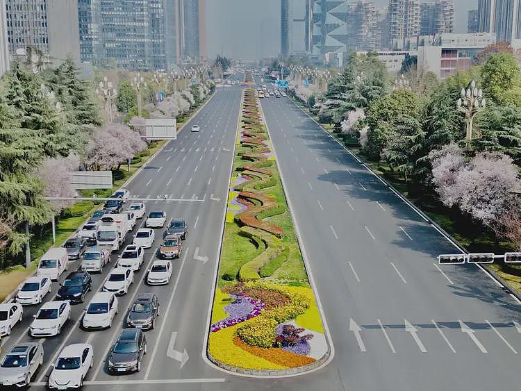 为什么全世界只有中国有独特的道路中央绿化带？（组图） - 3