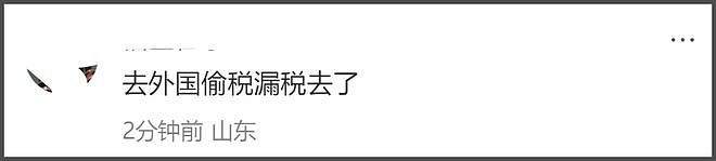 43岁范冰冰受封拿督,事业疑获新大佬支持,全面进军海外市场(组图) - 16