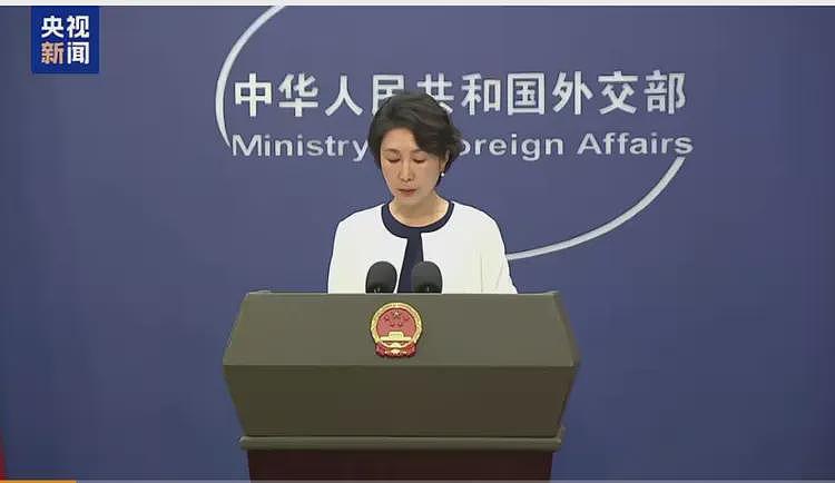 卢卡申科斥责乌总统:说话不动脑子,中国不欠你的(组图) - 7