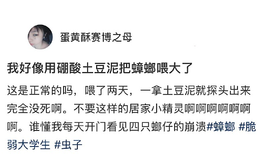 【爆笑】男朋友突然换头像，头像风格也换了，他是不是出轨了？​​​（组图） - 70
