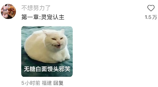 【爆笑】男朋友突然换头像，头像风格也换了，他是不是出轨了？​​​（组图） - 71