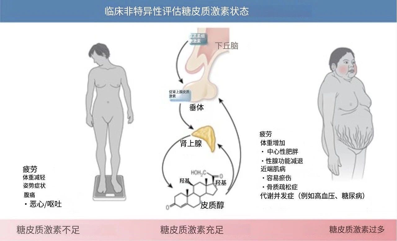 一个会让身体偷偷囤积脂肪、还让你食欲暴增的原因,很多人不知道(组图) - 2