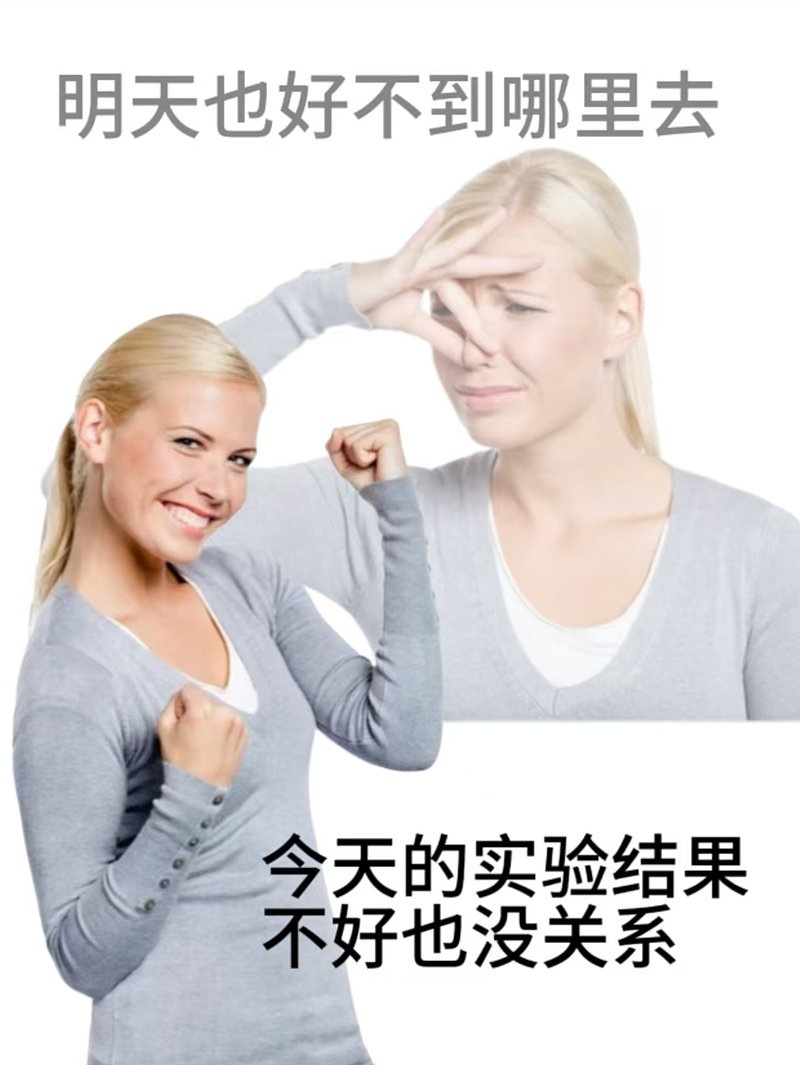 中国留学生们给海外地名加的翻译,看懵了(组图) - 13