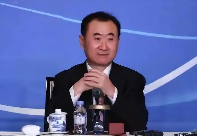 71岁王健林现身新疆，近照骨瘦如柴，王思聪却在国外和女友狂欢（组图） - 11