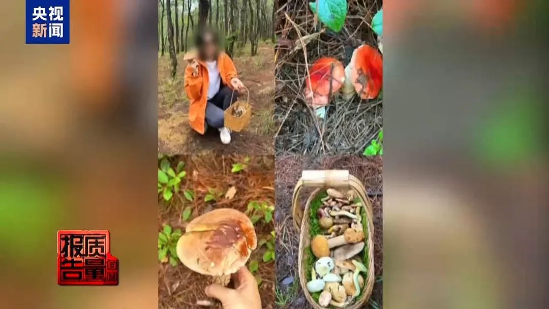 1天涌入超万人！网红项目暗藏致命风险，近年已有数千人出事，当地紧急通告（组图） - 1