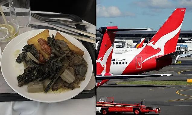 “花大钱坐商务舱，就给我吃这个？”澳航餐食翻车，网友吵翻了！（组图） - 4