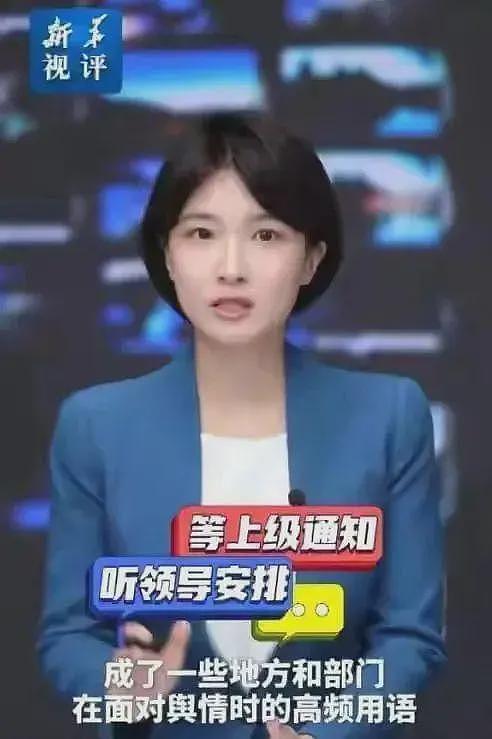 疯了!曝杨景媛死不悔改,想借上诉搞最后一搏,二审就要开场了(组图) - 6