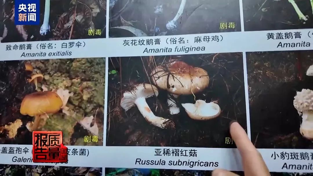 1天涌入超万人！网红项目暗藏致命风险，近年已有数千人出事，当地紧急通告（组图） - 11