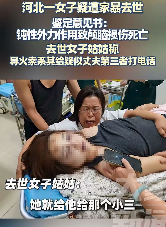 冲上热搜！河北25岁女子遭家暴致死，凶手是干警，医院伪造死亡证明，父母有权势（组图） - 14