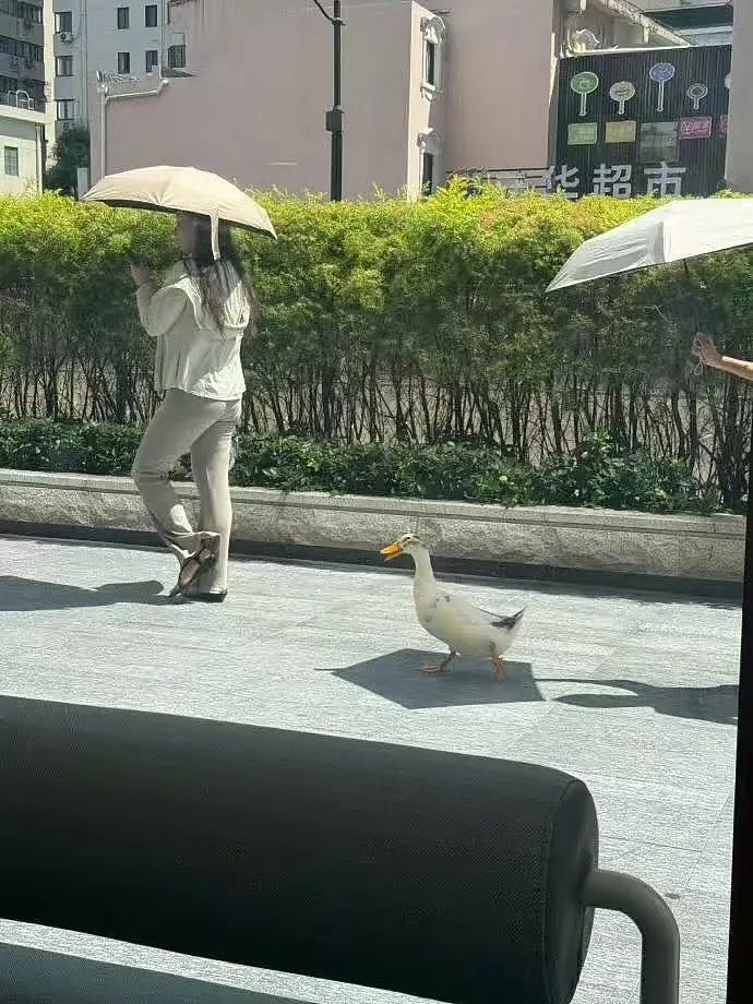 【爆笑】“上班摸鱼不要随便复制群里的八卦！” 哈哈哈哈哈笑得我发癫（组图） - 27