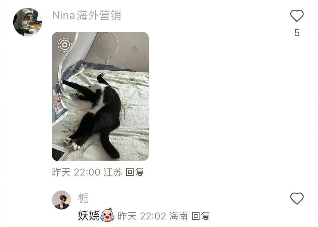 【爆笑】“错季网购了一件千元皮草后......“ 哈哈哈哈哈哈被网友笑晕过去了（组图） - 36