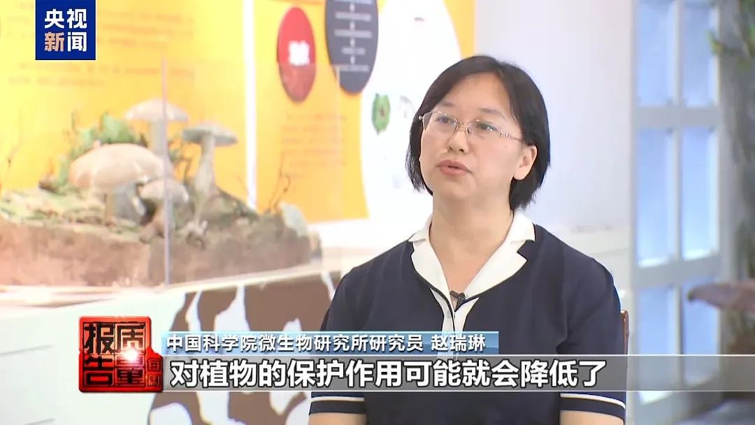 1天涌入超万人！网红项目暗藏致命风险，近年已有数千人出事，当地紧急通告（组图） - 17