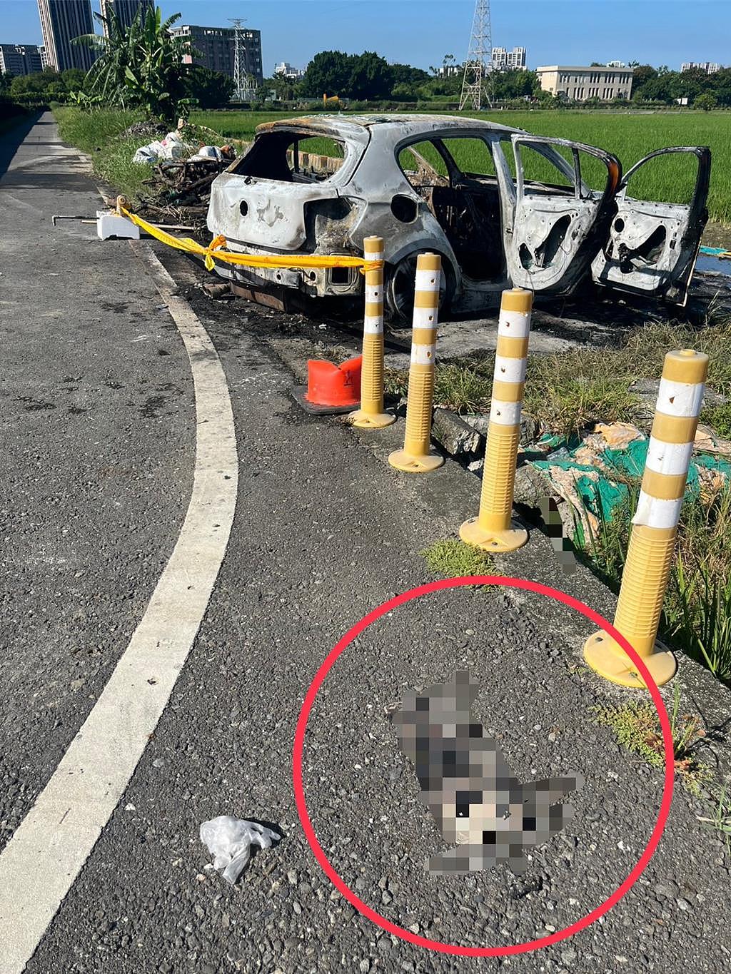 台湾高雄16枪狙杀案:疑争毒品地盘,杀手变装烧车(视频/组图) - 3