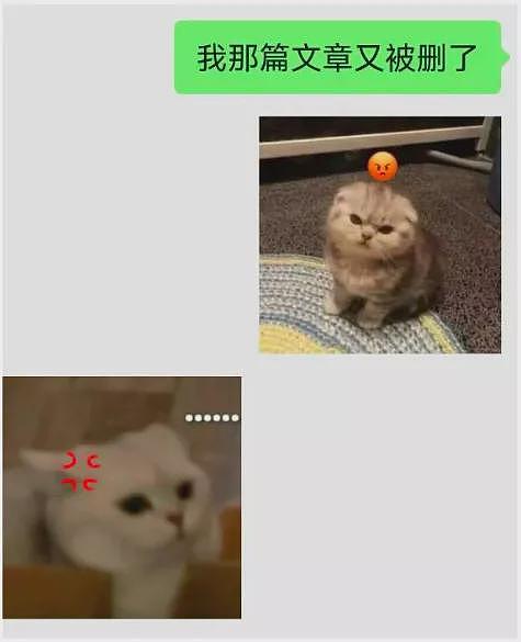 是谁在企图掩盖武大图书馆事件的真相(组图) - 23