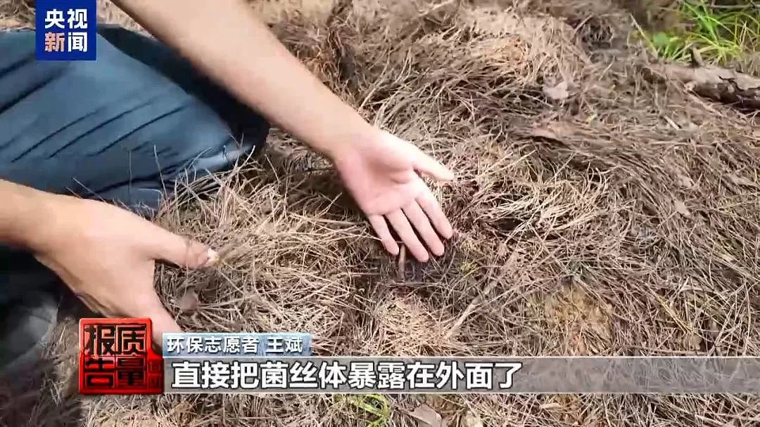 1天涌入超万人！网红项目暗藏致命风险，近年已有数千人出事，当地紧急通告（组图） - 14