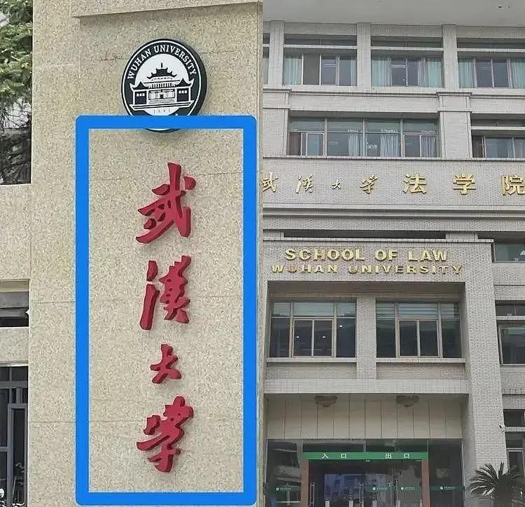 疯了!曝杨景媛死不悔改,想借上诉搞最后一搏,二审就要开场了(组图) - 8