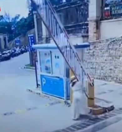 人肉千斤顶!云南悍妇为少妇5元停车费,冒险硬托70公斤电闸画面曝(视频/组图) - 1