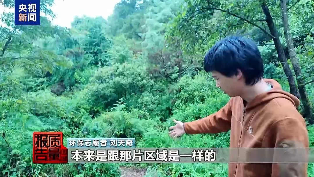 1天涌入超万人！网红项目暗藏致命风险，近年已有数千人出事，当地紧急通告（组图） - 3