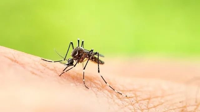 中国人到新加坡后才明白的10大“真相”:噶腰子、歧视华人、不会说华语…(组图) - 19