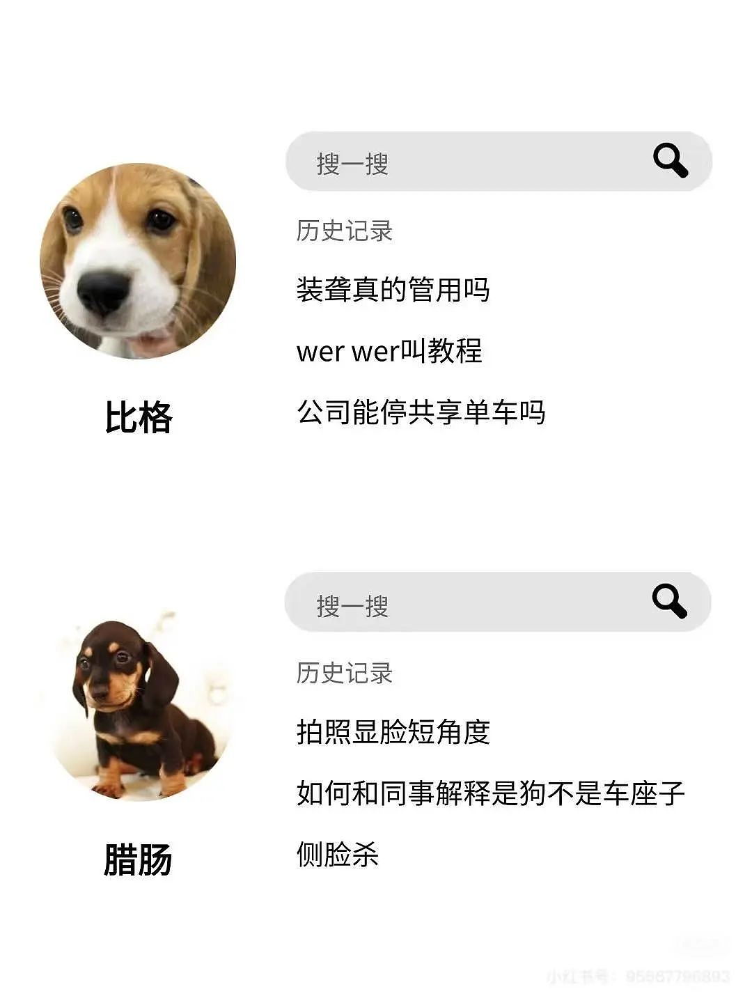 【爆笑】“上班摸鱼不要随便复制群里的八卦！” 哈哈哈哈哈笑得我发癫（组图） - 93