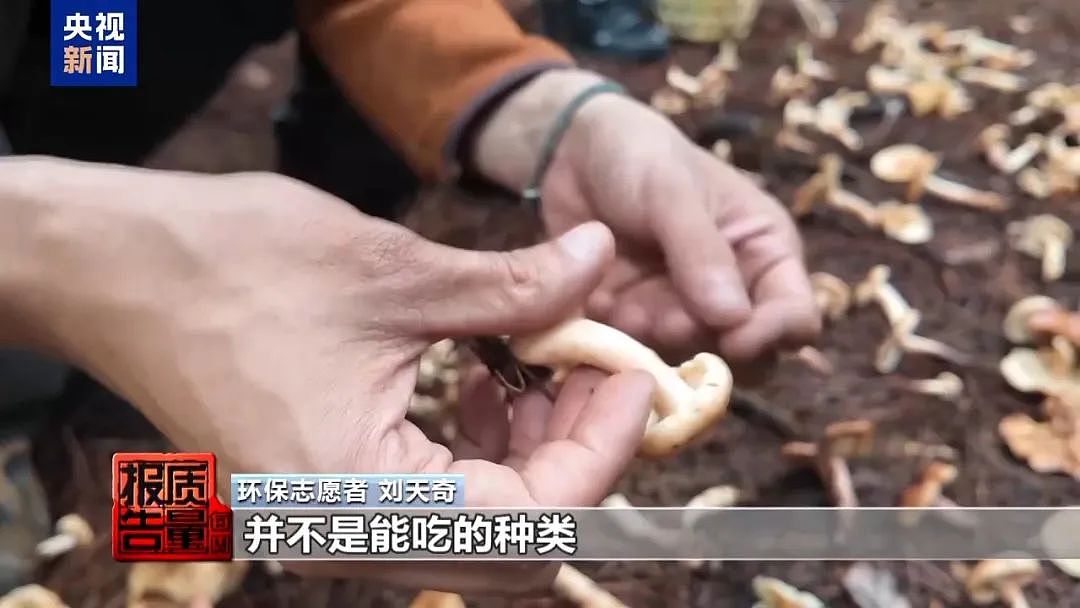 1天涌入超万人！网红项目暗藏致命风险，近年已有数千人出事，当地紧急通告（组图） - 6